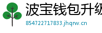 波宝钱包升级版本下载